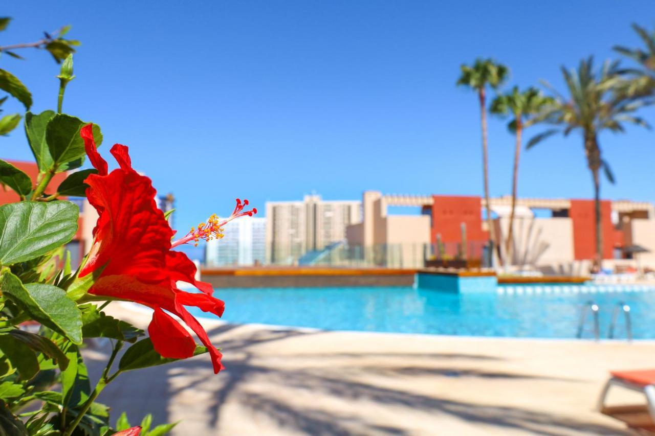 Chill In Paradise Плая Параизо Екстериор снимка